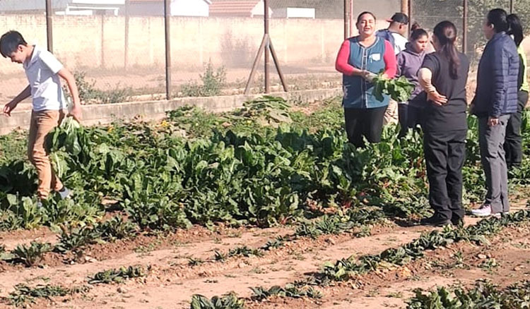 Estudiantes de Embarcación fortalecen conocimientos educativos... Fotografía: Estudiantes de Embarcación fortalecen conocimientos educativos...