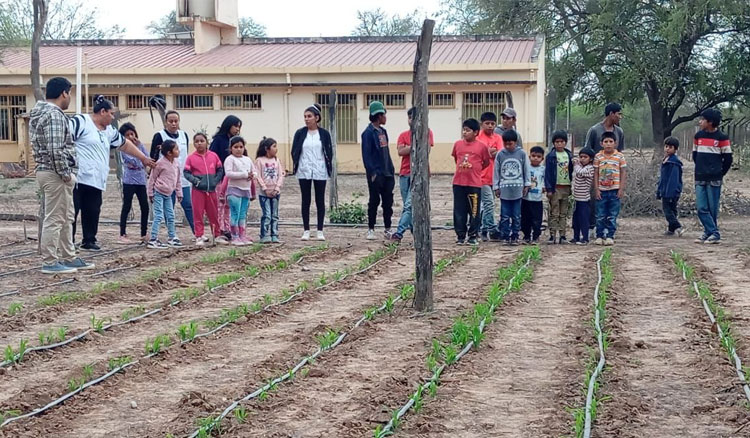 Avanza el cultivo en 45 huertas escolares de Rivadavia, Orán y San Martín Fotografía: Avanza el cultivo en 45 huertas escolares de Rivadavia, Orán y San Martín